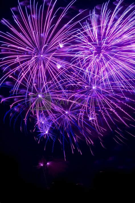 Purple fireworks Royalty Free Stock Image | YAYIMAGES - Royalty Free ...