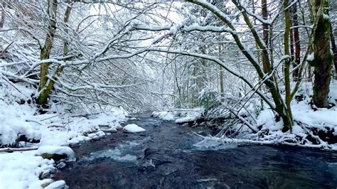 Calming Snowy Ambience. Soothing Winter River Sounds. Nature ASMR 10 ...