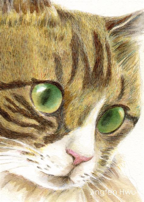 Cat art printThe Face Of A Green-eyed Tabby cat drawing | Etsy