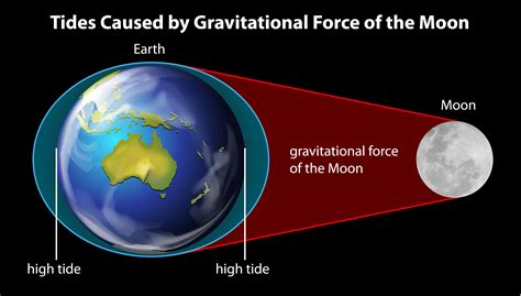 Tidal movements on Earth 430360 Vector Art at Vecteezy