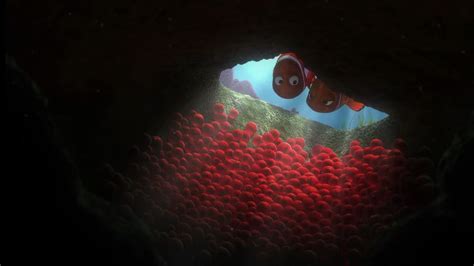 Finding Nemo (2003) - Disney Screencaps.com | Finding nemo, Finding nemo 2003, Nemo