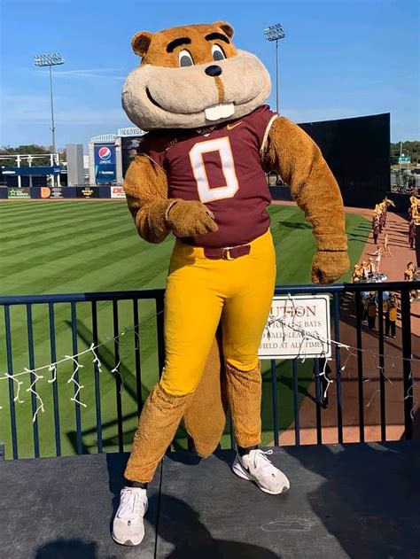 Goldy Gopher | Mascot costumes, Mascot, School mascot