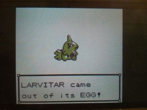 [2] shiny Larvitar : r/ShinyPokemon