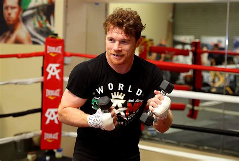 Canelo Alvarez Training Camp Notes as He Prepares for Gennady Golovkin ...