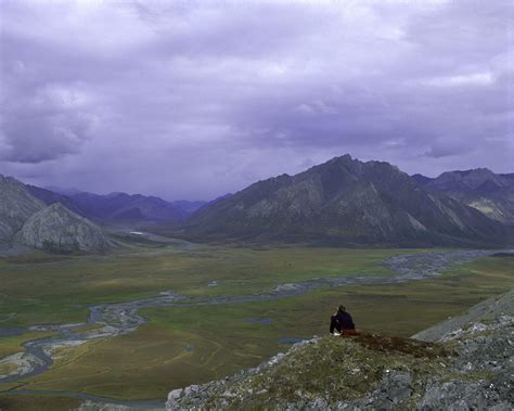 A Pause to Assess the Impacts on the Arctic National Wildlife Refuge - Eastern Woodlands ...