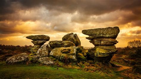 The History of Yorkshire Day - i-Yorkshire Marketplace