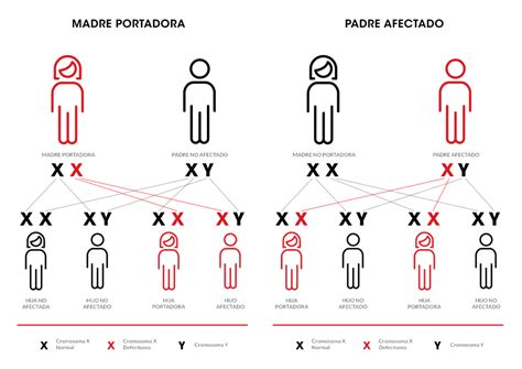 Miembros de la familia - Duchenne Parent Project España