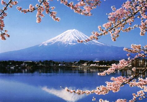 japan cherry blossom fuji - Google Search | Mount fuji, Scenery, Japan ...