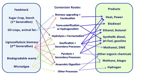 Major pathways for production of different types of biofuel products. | Download Scientific Diagram