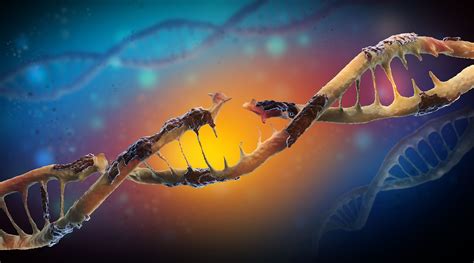 Genetic Mutations - Biology Online Tutorial