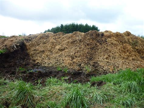 Plot 5E: Collecting Horse Manure/Compost