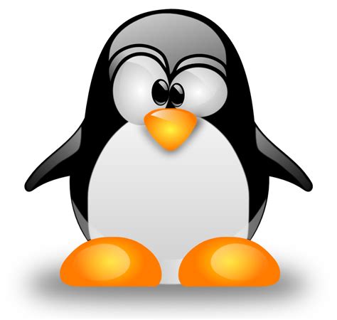 A Beginner's Guide to Free Linux Operating Systems - TurboFuture