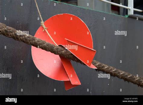 Rat Guard on mooring line of container ship Stock Photo: 8022882 - Alamy