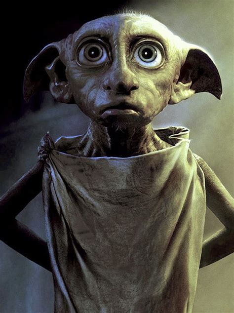 Dobby | Dobby harry potter, Harry potter pictures, Harry potter