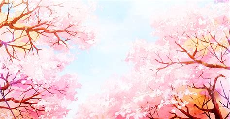 Sakura Animated GIF | Sakura art, Anime cherry blossom, Anime background