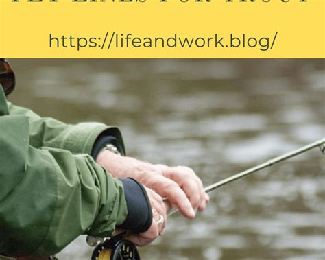 When to Use Sinking Fly Lines For Trout