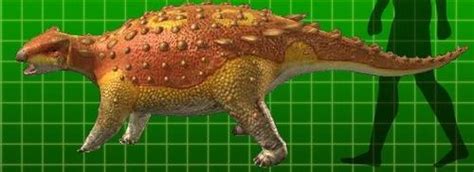 Minmi Pictures & Facts - The Dinosaur Database