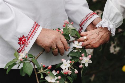 An Old Couple is Holding Hands Stock Photo - Image of sunset, love ...