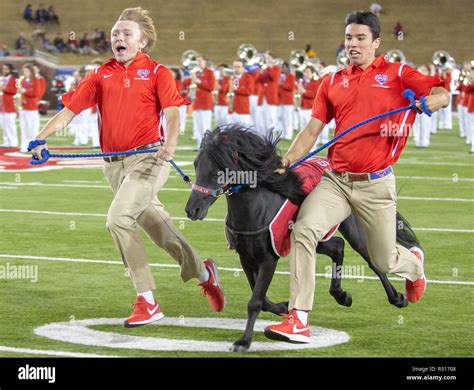 Dallas, Texas, USA. 16th Nov, 2018. SMU's mascot, Peruna IX, runs down ...