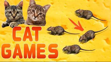 CAT GAMES - Catching Mice! Entertainment Video for Cats to Watch - YouTube