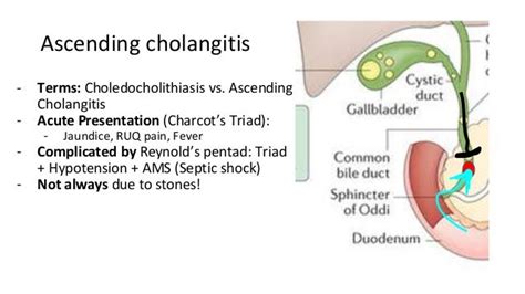 Cholangitis Triad