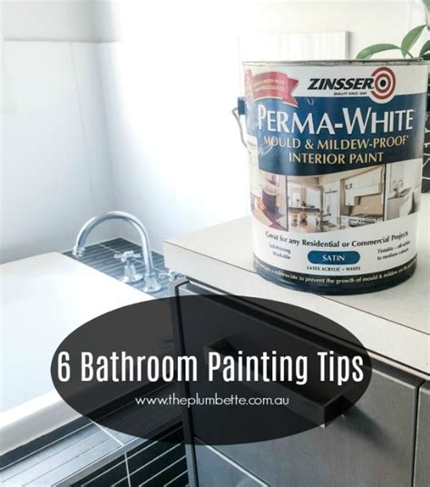 6 Bathroom Painting Tips - The Plumbette