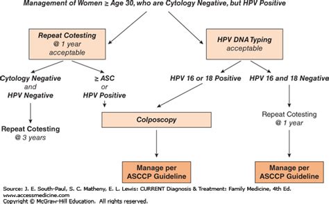 Acog Pap Guidelines 2019 Algorithm | carfare.me 2019-2020