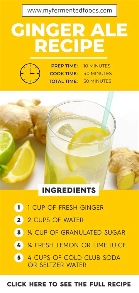 Best Ginger Ale, Ginger Ale Drinks, Homemade Ginger Ale, Ginger Beer, Fresh Ginger, Bourbon ...