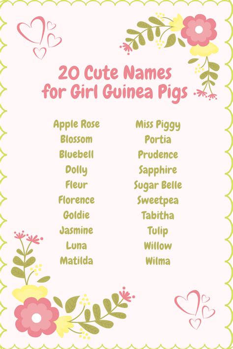 Over 450 Guinea Pig Names | Cute Names for Boys, Girls & Pairs | Guinea ...