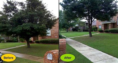 tree-trimming-before-after - A New Leaf Tree Service