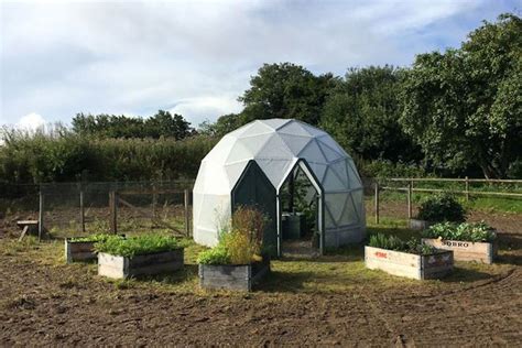 Geodesic dome greenhouse and chicken coop was built for $475 - Curbed