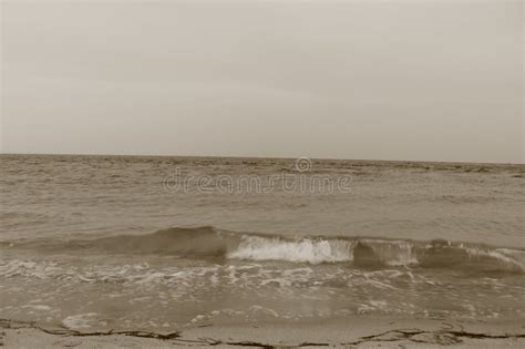 Surf at Key Biscayne Beach in South Florida Stock Image - Image of ...