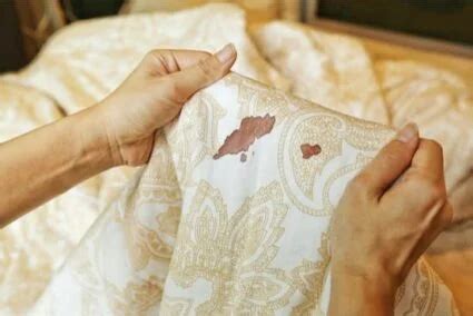 Why Do Bed Bugs Leave Blood Stains on Sheets and Pillows?