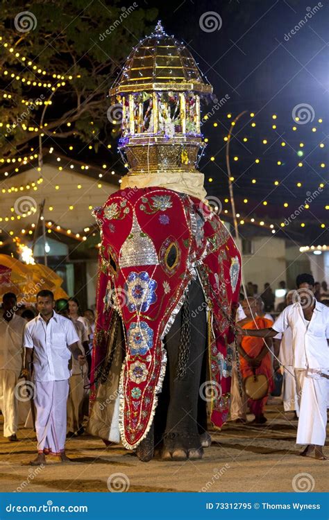 A Beautifully Dressed Young Elephant Parades Through The Arena At The ...