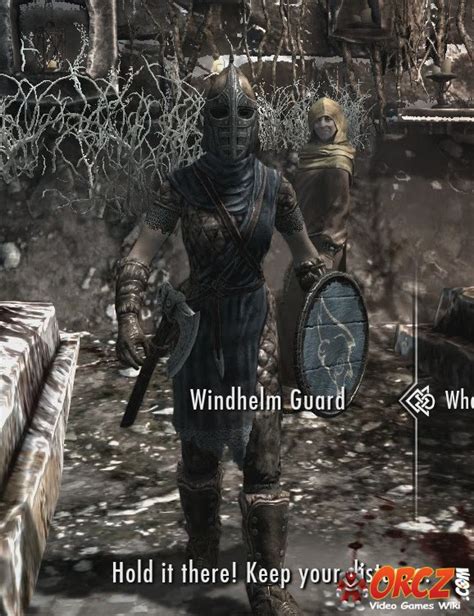 Skyrim: Windhelm Guard - Orcz.com, The Video Games Wiki