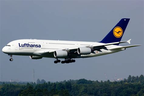 20 Facts About Lufthansa - Facts.net