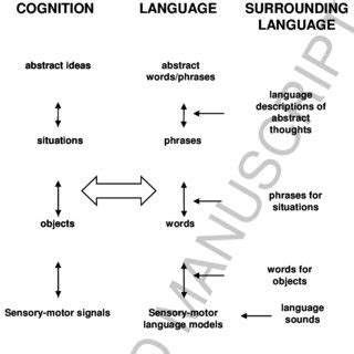 (PDF) Mirror neurons, language, and embodied cognition