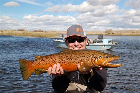 fly fishing the green river — Park City Fly Fishing Guides | Provo River Guide Service