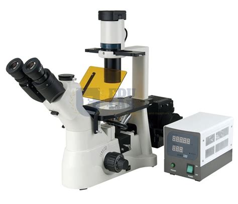 Inverted Fluorescence Microscope Manufacturer, Supplier & Exporter in India, Brazil, Mexico ...