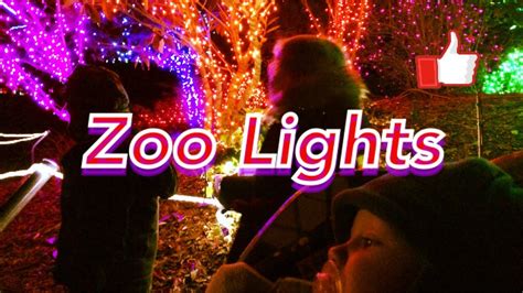 Christmas Lights at the Zoo - YouTube