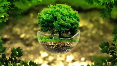 Nature Plant Wallpapers - Top Free Nature Plant Backgrounds - WallpaperAccess