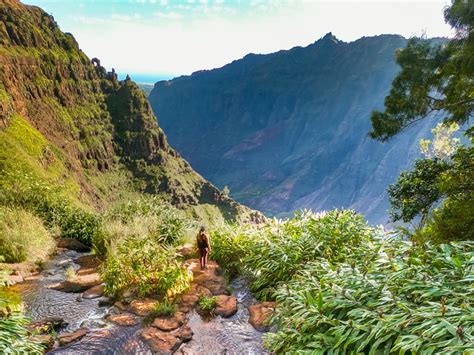 Canyon Trail to Waipoo Falls Trail Hike - Waimea, HI - That Adventure Life