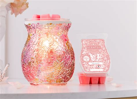 Scentsy 2024 Warmers - Elyse Imogene