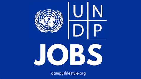 Multiple Amazing Job Vacancies at the UNDP Headquarters. Deadline 31 April 2023. – Campus lifestyle