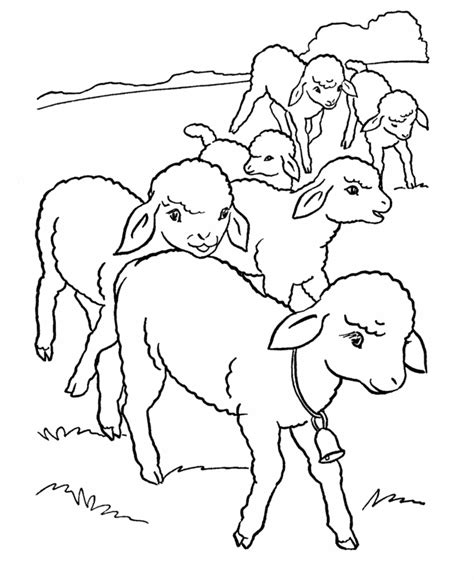 Free Printable Sheep Coloring Pages For Kids