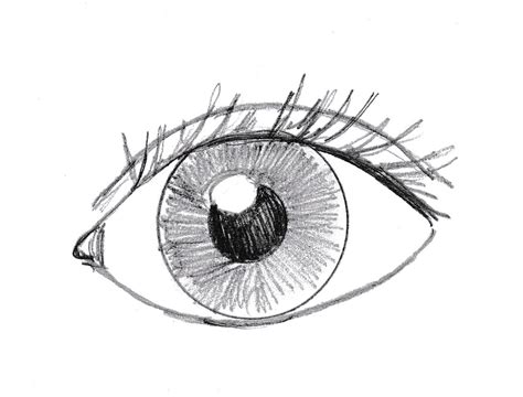 How to Draw an Eye | Art Starts