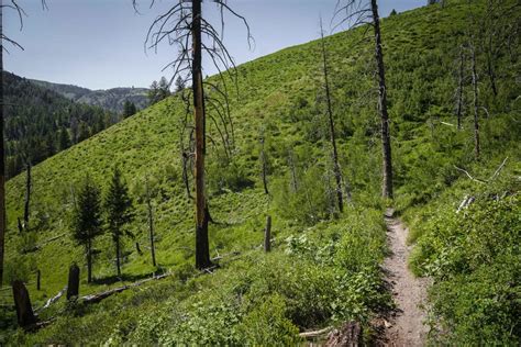 Red Warrior - Lodgepole , Idaho : Off-Road Trail Map & Photos | onX Offroad