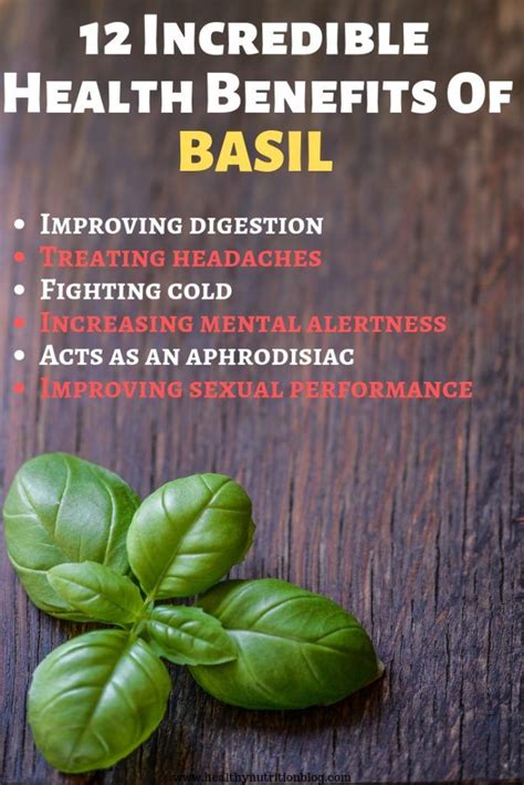 12 Incredible Health Benefits Of Basil | Basil health benefits, Health benefits, Basil benefits