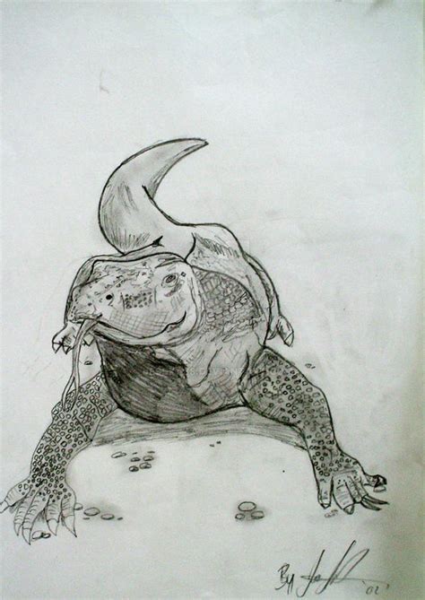 Komodo Dragon by JessKa88 on DeviantArt