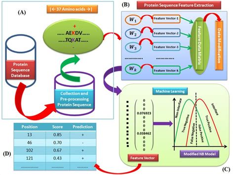 Schematic outline of our study (A) Protein sequence collection from ...